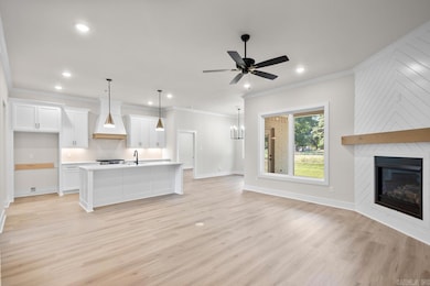 3901 Spencer Crossing Dr, Benton, AR 72019 - photo 4