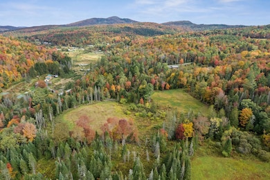 335 Calais Rd, Worcester, VT 05682 - photo 7