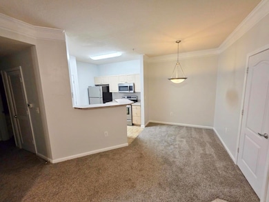1300 Park West Blvd unit 804, Mount Pleasant, SC 29466 - photo 5
