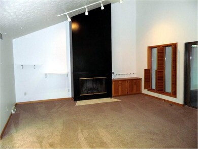 Wood Burning Fireplace in the Vaulted Living Room