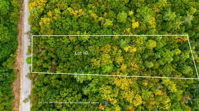 16-10 Winnipesaukee Dr unit Survey Lot 10-Town L, Wolfeboro, NH 03894 - photo 2