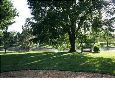 Backyard/lake view from the home