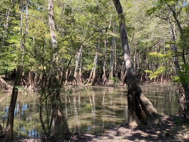 0 Reynolds Rd, Tensaw, AL 36579 - photo 5