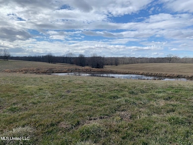 9 Baldwin Rd, Hernando, MS 38632 - photo 2