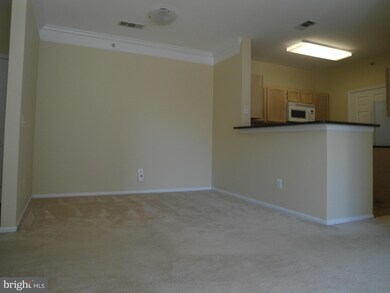 1580 Spring Gate Dr unit 4408, McLean, VA 22102 - photo 4