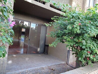 Arcadia exterior view of patio