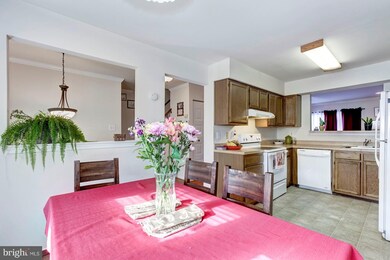 3336 Major Denton Dr, Beltsville, MD 20705 - photo 3