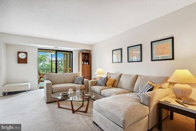 Montebello unit 416, Alexandria, VA 22303 - photo 5