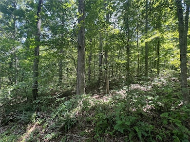 704 Old Highway 66, Leslie, AR 72645 - photo 2