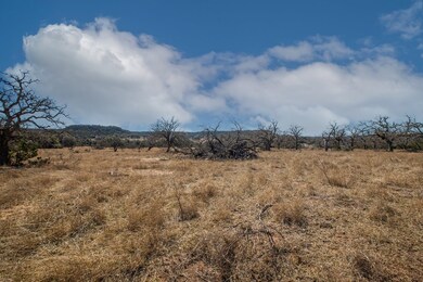 1 E Lower Crabapple Rd unit 1, Fredericksburg, TX 78624 - photo 4