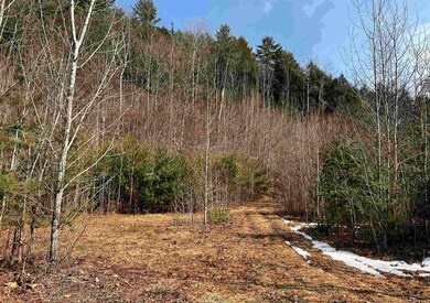 00 Parker Ave, St. Johnsbury, VT 05819 - photo 7