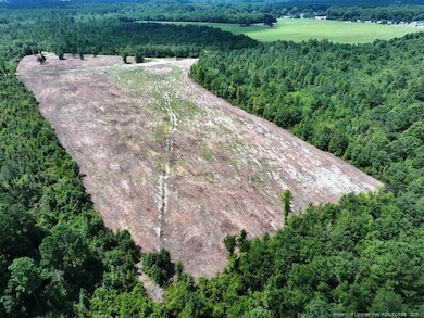 TBD Alamac (Off Of) Rd, Lumberton, NC 28358 - photo 2