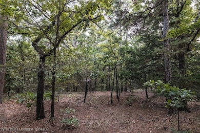 TBD NE 120th Rd, Red Oak, OK 74563 - photo 4