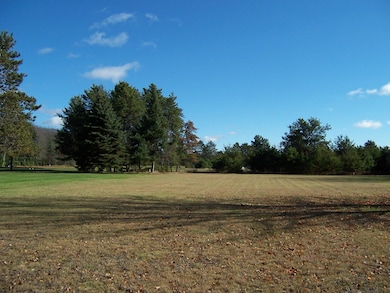 .57 Acres N Markey Rd, Roscommon, MI 48653 - photo 4