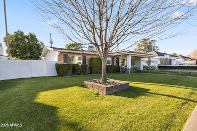 Front Yard
