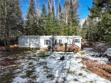 16 Deerwood Dr, Inlet, NY 13360 - photo 7