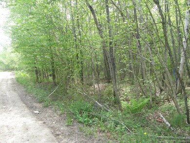 M10L4 Stone Bridge Rd, Garland, ME 04939 - photo 2