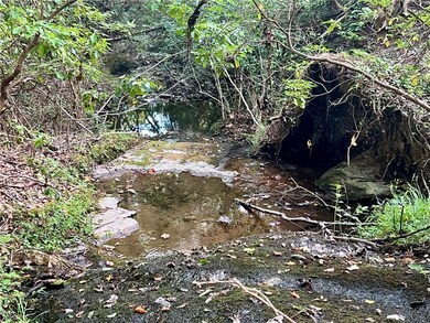 View of local wilderness