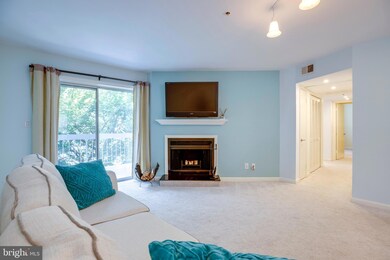 The Four Winds at Oakton unit C5, Oakton, VA 22124 - photo 4