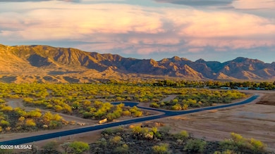 15690 N Strada Catania unit Lot 143, Tucson, AZ 85739 - photo 2