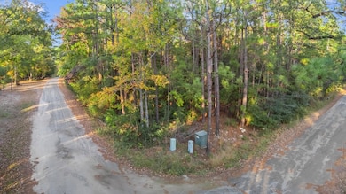 88 Deodar Dr, Brookeland, TX 75931 - photo 7