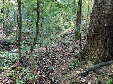 893 Newman Ct, Ranger, GA 30734 - photo 2