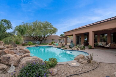 Entertainer's Backyard
