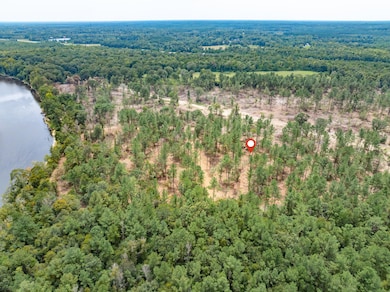 1.01 Mol Ac Old Hwy 24 Parcel 15, Mc Lain, MS 39456 - photo 5