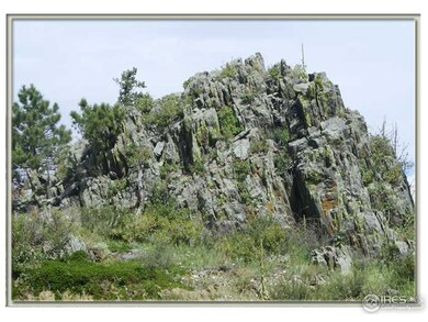 0 Whale Rock Rd unit 720548, Bellvue, CO 80512 - photo 4