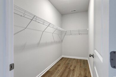 164 Bolsin Ct, Conway, SC 29526 - photo 7