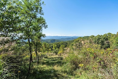 1623 Ammons Branch Rd, Marshall, NC 28753 - photo 2