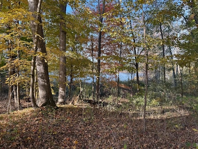 5950 S Lake George Rd, Dryden, MI 48428 - photo 4