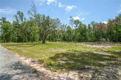 50320 (Lot 2) Allen Dr, Loranger, LA 70446 - photo 3