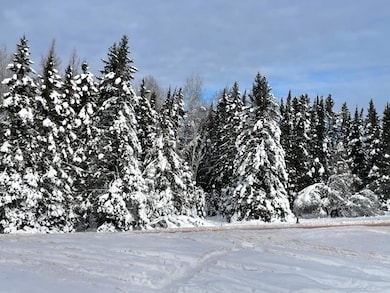 On Cth F unit 20 +/- A, Butternut, WI 54514 - photo 2