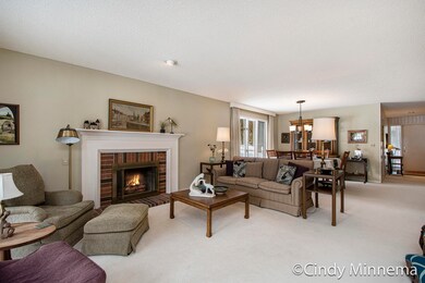 Gas log fireplace