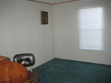 781 N Davidson Rd, Vail, AZ 85641 - photo 7