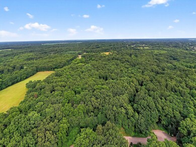 0 Karlson Ln unit LOT E,F,G 25039543, Milton Township, MI 49120 - photo 7