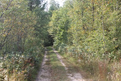 Orchard Trail, looking S