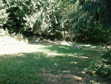 23430 Fiske Rd E, Orting, WA 98360 - photo 5