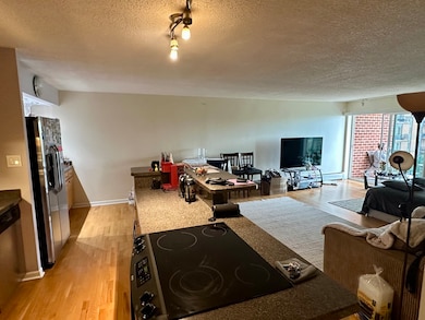 Lake Run Condominium unit 414S, Prospect Heights, IL 60070 - photo 2