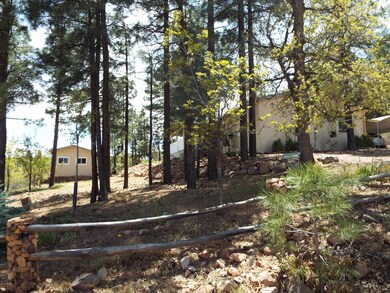 6253 Wildcat Trail N, Show Low, AZ 85901 - photo 3