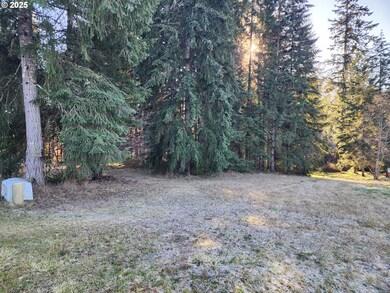 173 Jims View Rd, Castlerock, WA 98611 - photo 5