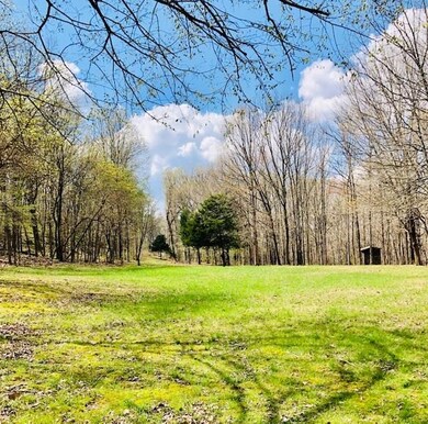 17818 Arkady Way, Winslow, AR 72959 - photo 2