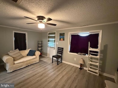 800 Wood St, Cambridge, MD 21613 - photo 3