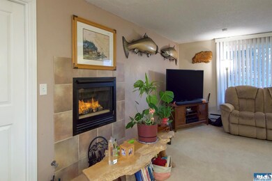 Propane Fire place