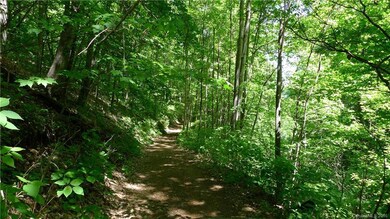 99999 Blossom Ridge, Leicester, NC 28748 - photo 5