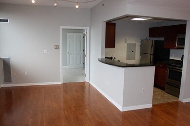 169 Monsignor Obrien Hwy unit 609, Cambridge, MA 02141 - photo 6