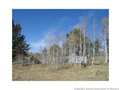 3676 Buffalo Ridge Rd, Como, CO 80432 - photo 3