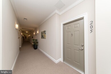 510 Quarry View Ct unit 205, Reisterstown, MD 21136 - photo 2