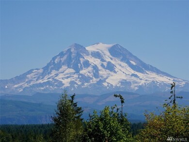 715 390th St S, Roy, WA 98580 - photo 3